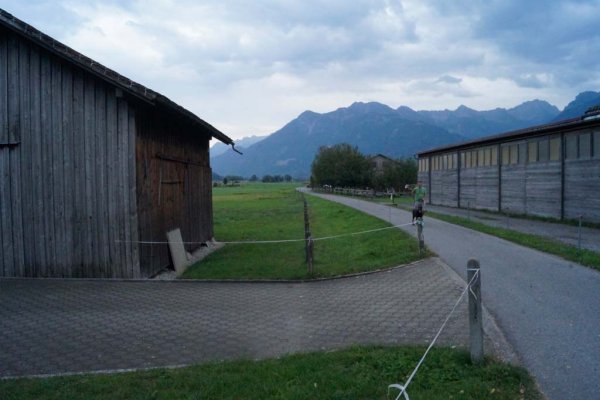 DSC1200