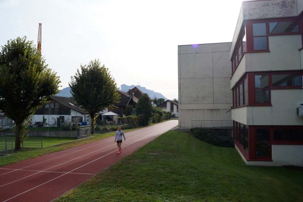 DSC1384